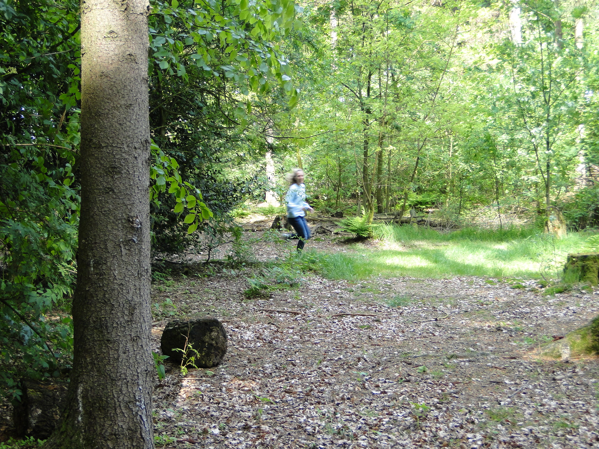 HWK 2012 099.jpg